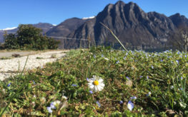 Lago Iseo - Panoramica #2