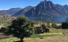Lago Iseo - Panoramica