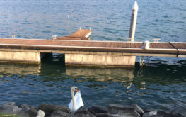 Lovere - Lungolago #3 - Lago Iseo
